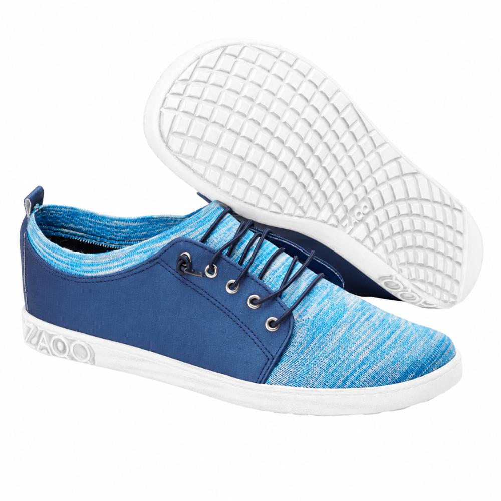 Qris blauw